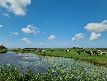 Alles over nieuwbouw