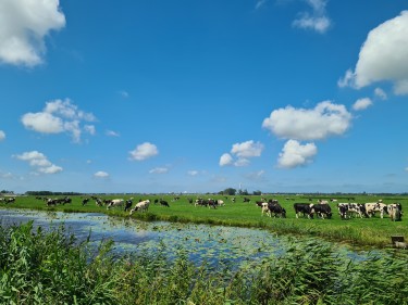 Makelaar Zaandam